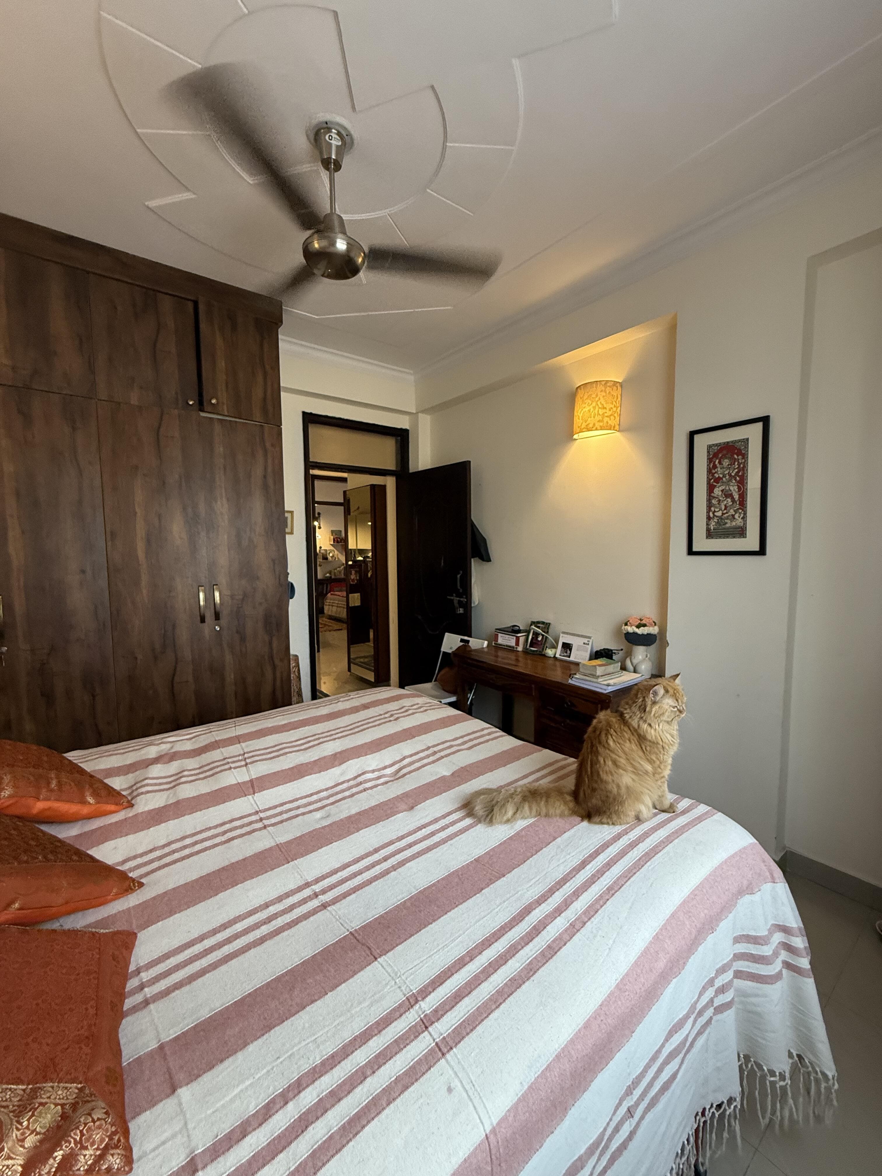 2BHK+STUDY 